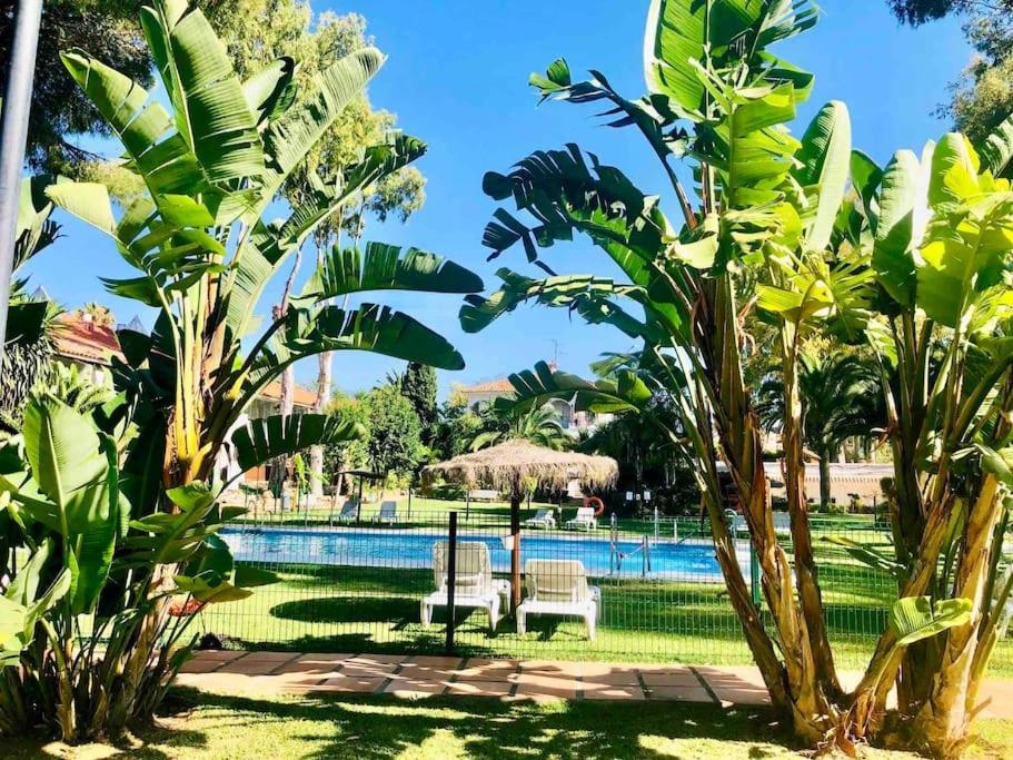 Puerto Banus Eddie Suite Marbella Buitenkant foto